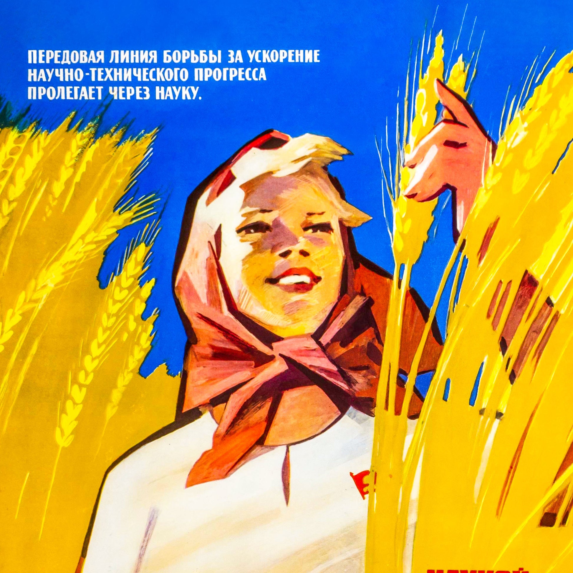 Vintage Soviet agriculture propaganda poster featuring a young blonde woman in a wheat field, holding a book titled Fundamentals of Agriculture, with a socialist realism design.