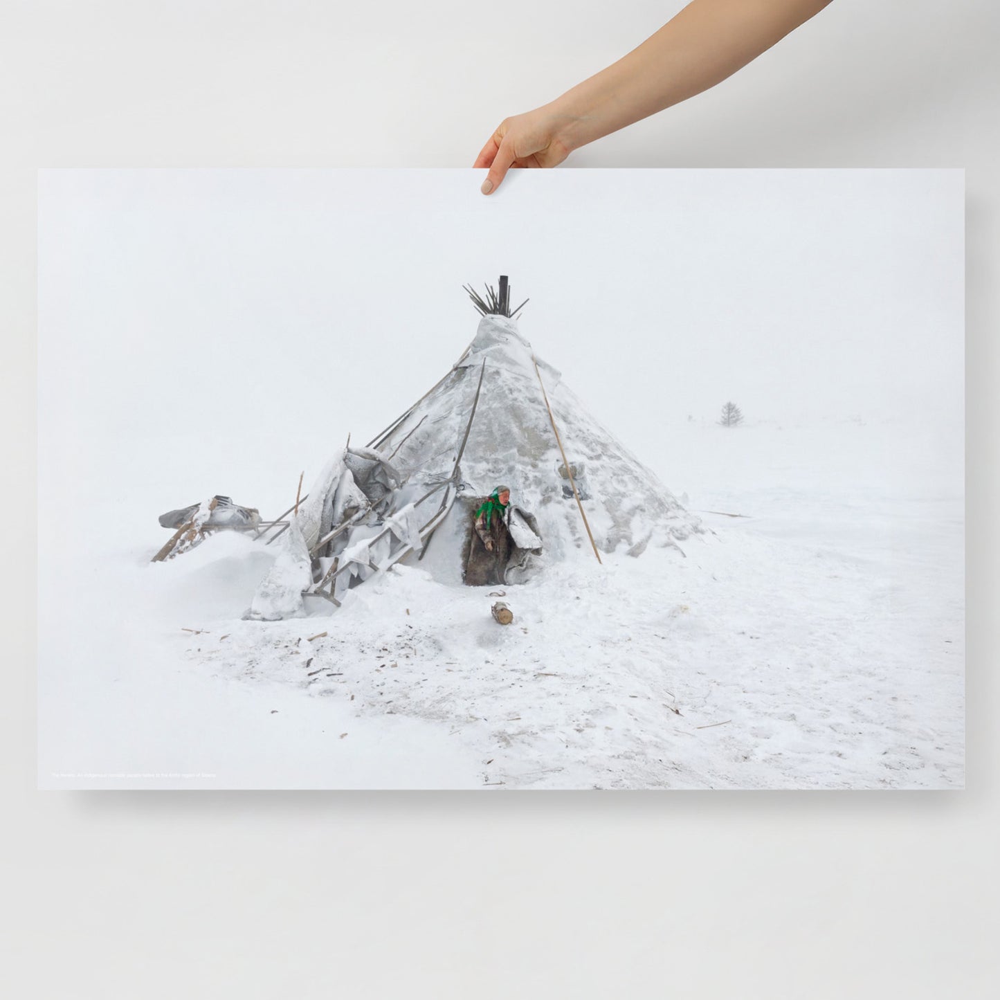 Photo of Nenets woman in traditional clothing near chum tent house in Arctic snow. Siberian indigenous poster. From artsoviet.com