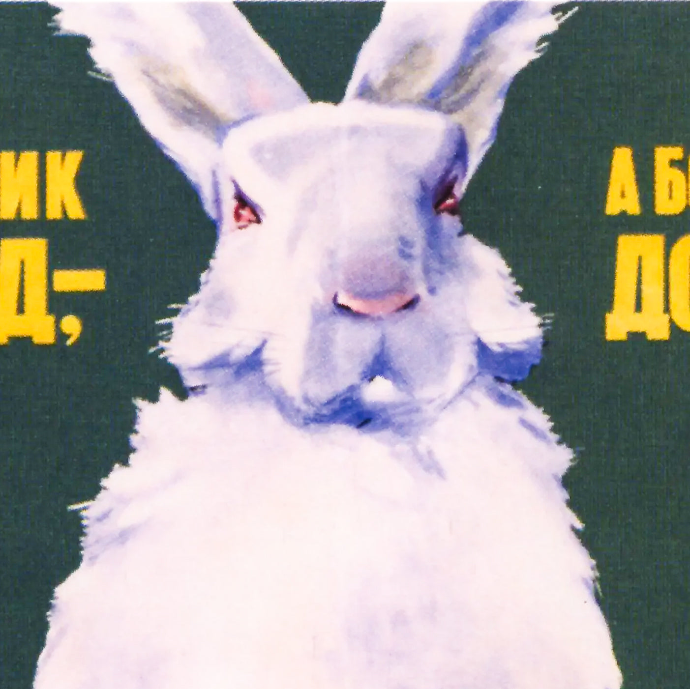 Vintage Soviet Farming Poster – "Разводите кроликов!" – White rabbit holding mittens, fabrics, and canned rabbit meat